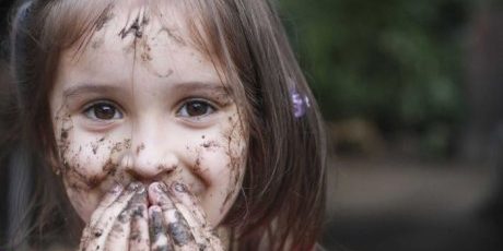 7306804-3×2-460×307